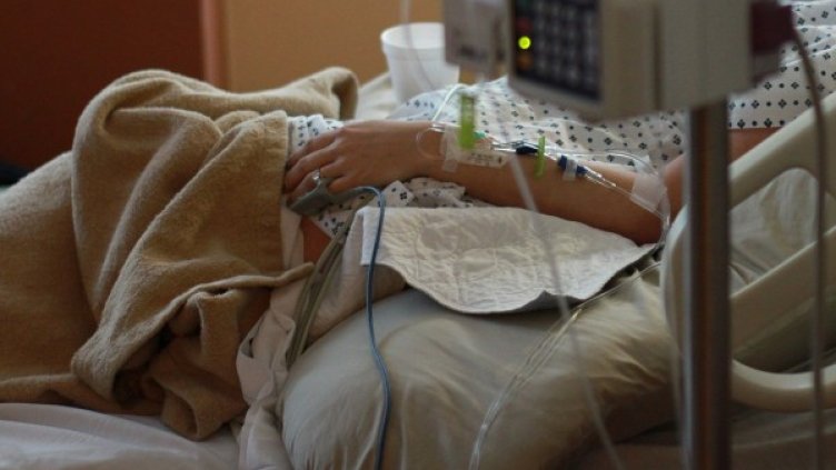 Снимка: Pixabay