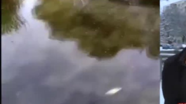 Снимка: Bulgaria ON AIR