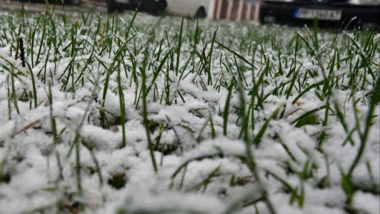 Снимка: Булфото