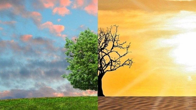 Снимка: Pixabay