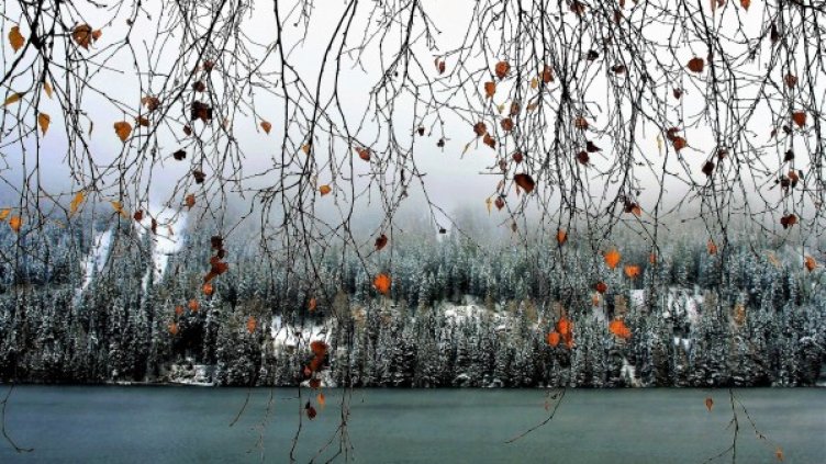 Снимка: Pixabay