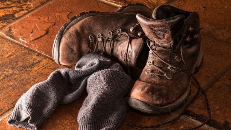 Снимка: Pixabay