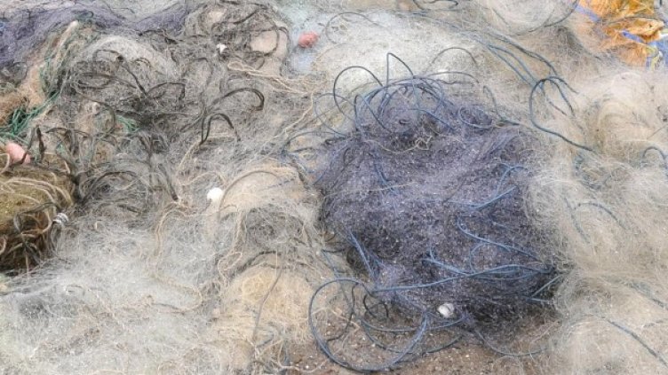 Снимка: Булфото