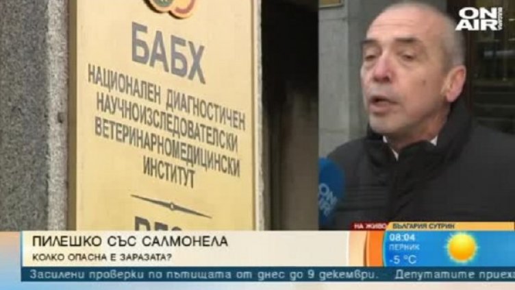 Снимка: Bulgaria ON AIR