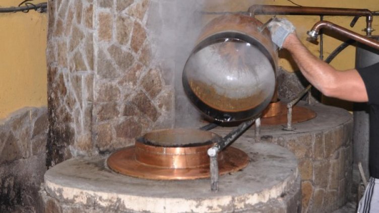 Снимка: BulFoto архив