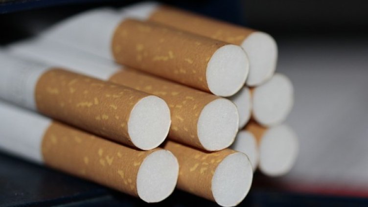 Снимка: pixabay