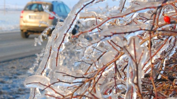 Снимка: архив, Булфото