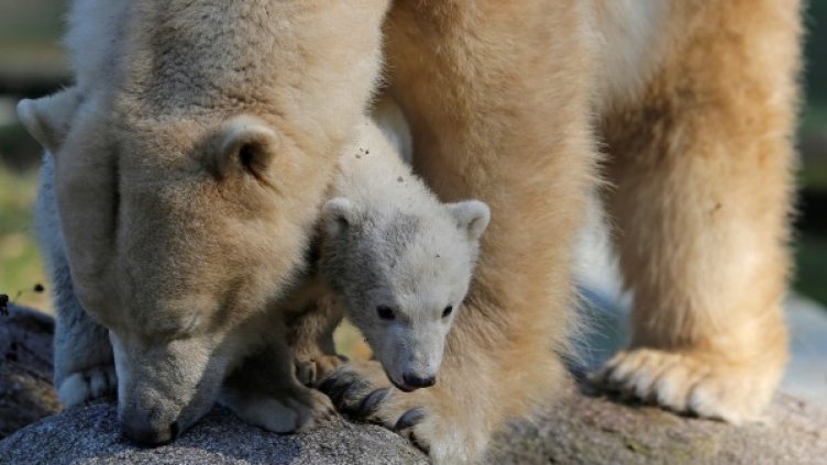 Снимка: архив, Reuters