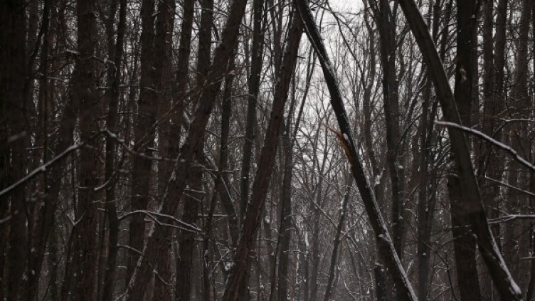 Снимка: архив, Reuters