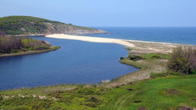 Архив: Булфото