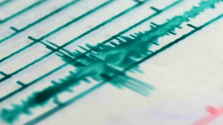 снимка: архив