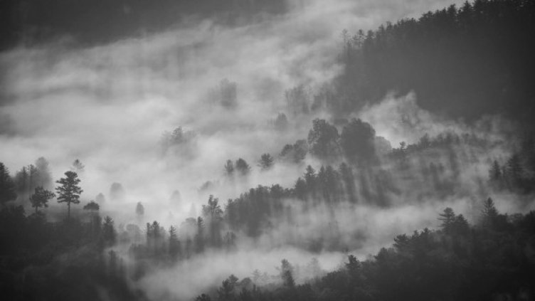 Снимка: Pixabay