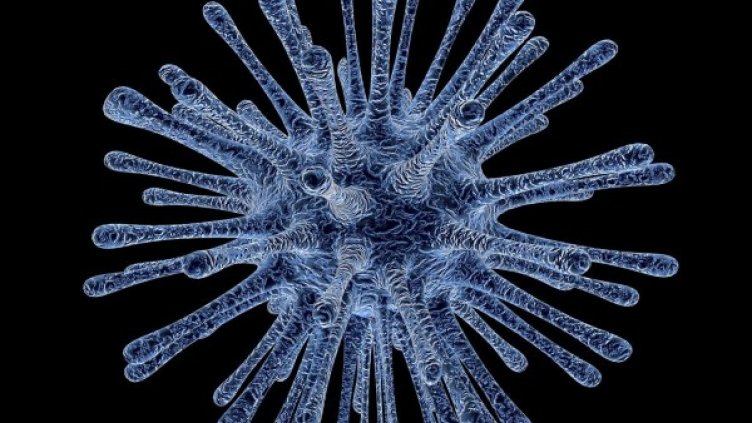 Снимка: Pixabay