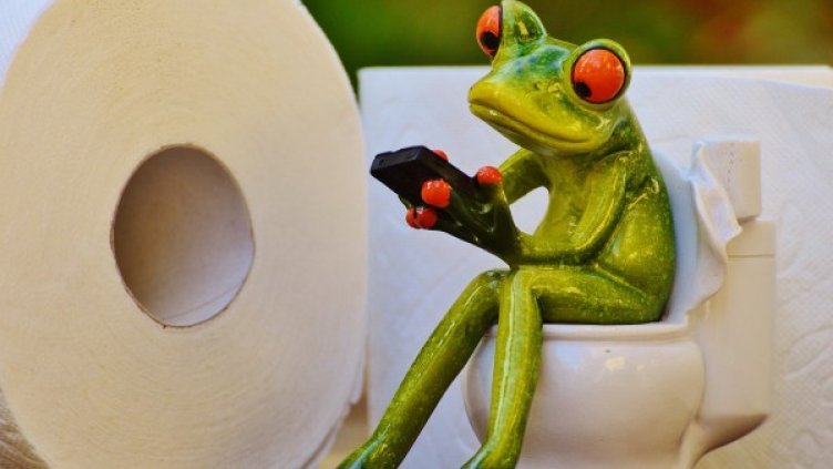 Снимка: Pixabay