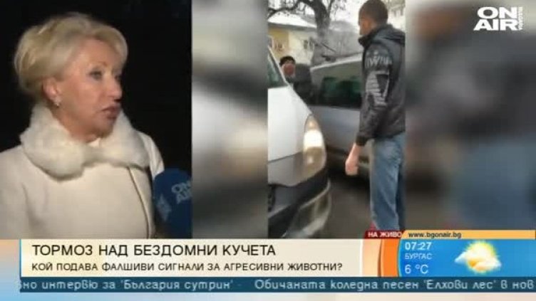 От НПО се оплакват: Прибират кучета след фалшиви сигнали