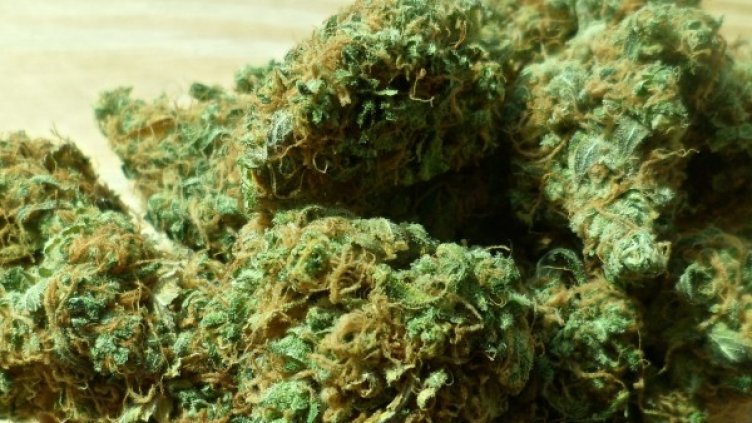 Снимка: Pixabay