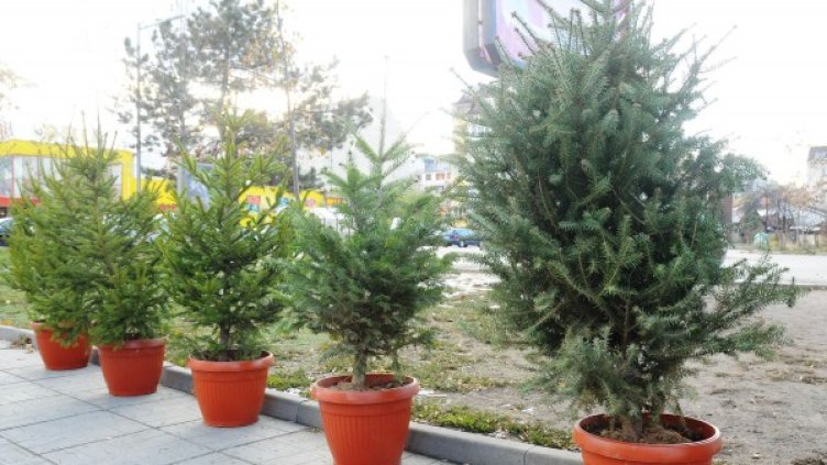 Снимка: Булфото, архив