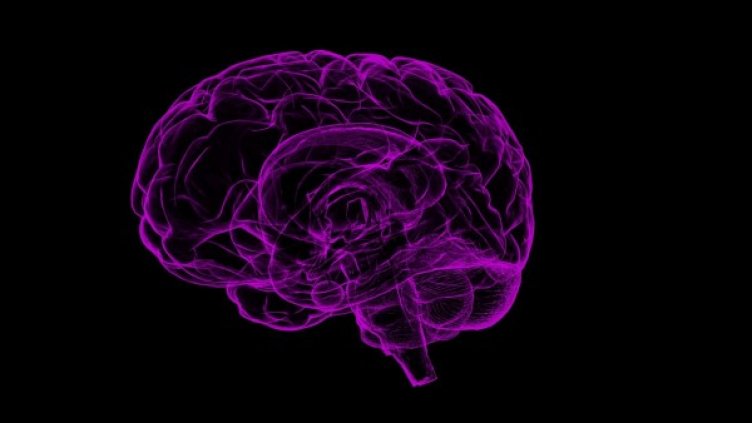 Снимка: Pixabay