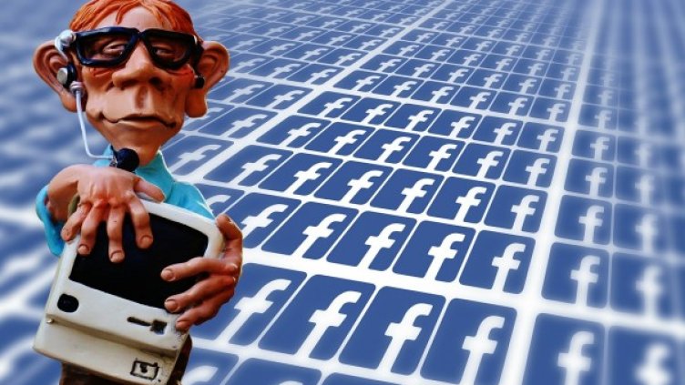 Снимка: Pixabay