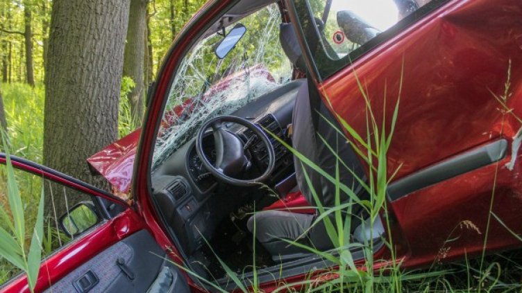 Снимка: Pixabay