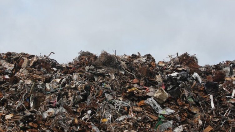 Снимка: Pixabay