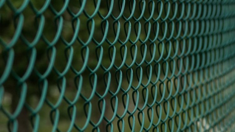 Снимка: Pixabay