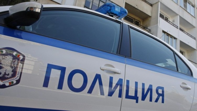 Снимка: Булфото архив