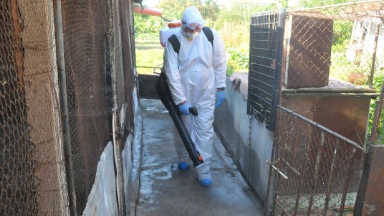 Снимка: Булфото архив