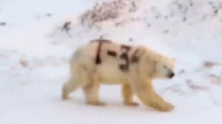 Снимка: Facebook