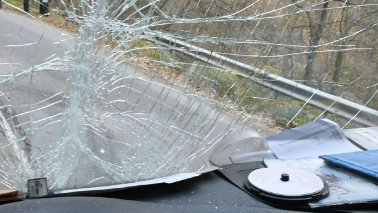 Снимка: Булфото архив