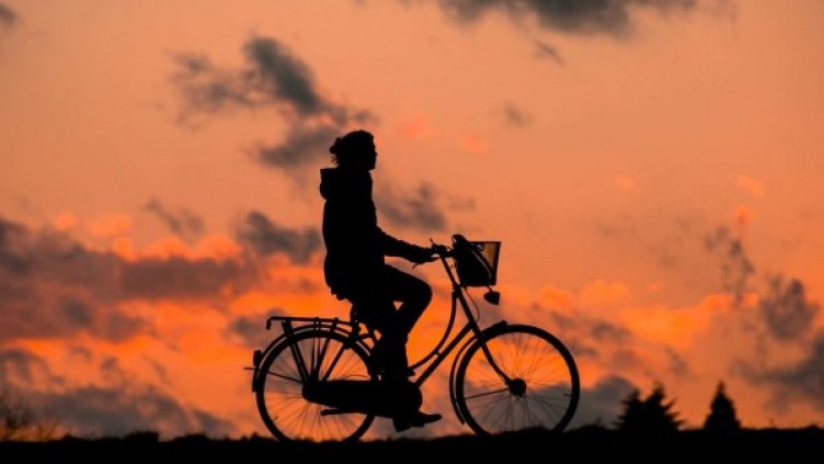 Снимка: Pixabay