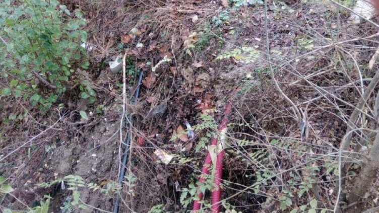 Снимка: Helpbook