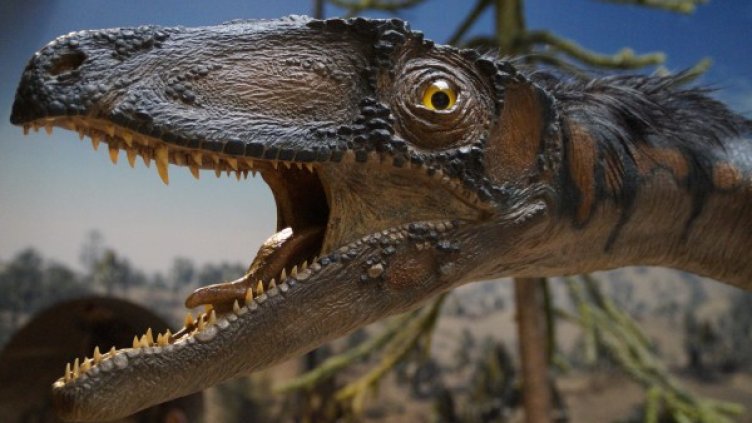 Снимка: Pixabay