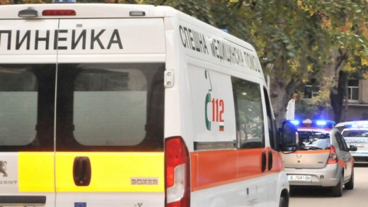 Снимка: Булфото