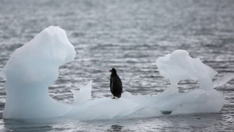 Снимка: Ройтерс