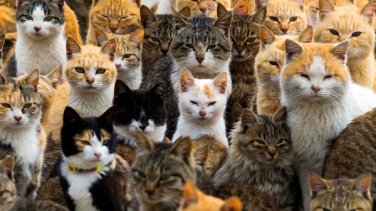 Снимки: Reuters