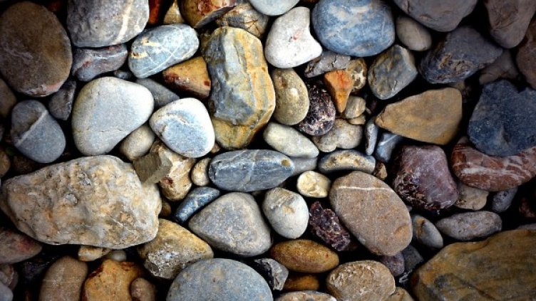 Снимка: Pixabay