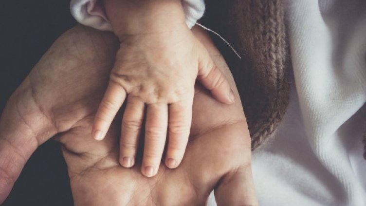 Снимка: Pixabay