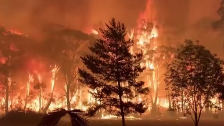 Снимка: Ройтерс