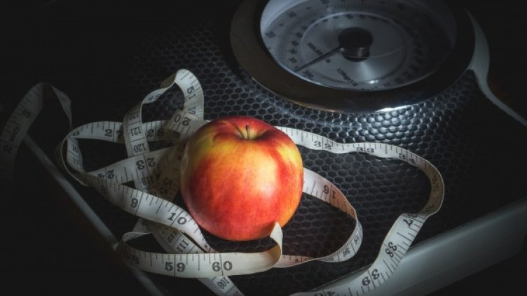 Снимка: Pixabay