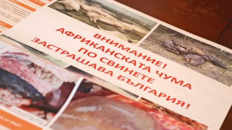 Снимка: архив, Булфото