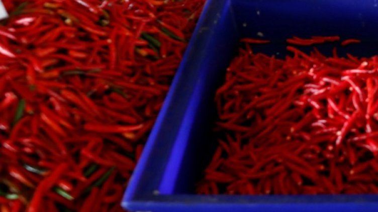 Снимка: архив, Reuters