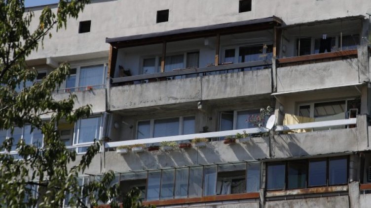 Снимка: Булфото, архив