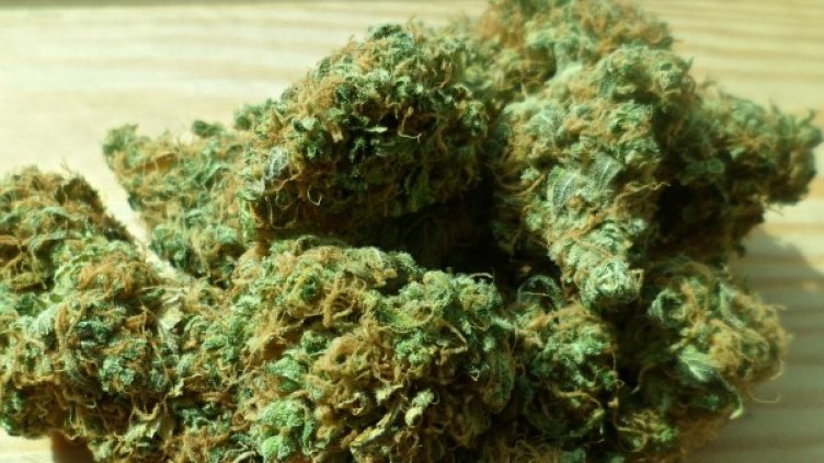 Снимка: Pixabay