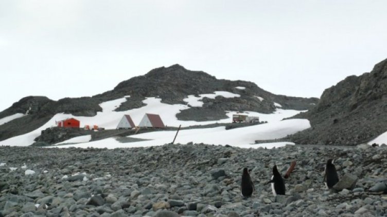 Снимка: Български антарктически институт