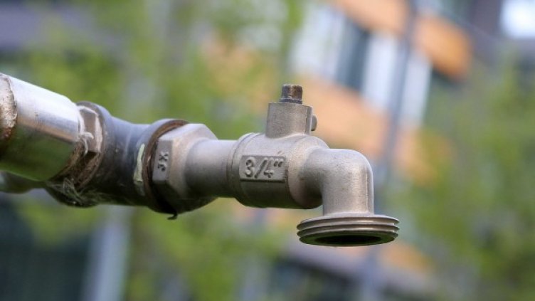 Снимка: Pixabay