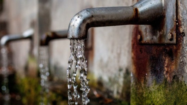 Снимка: Pixabay