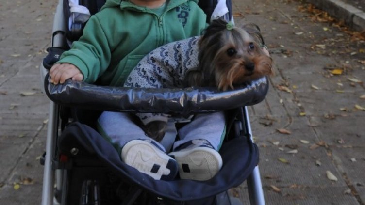 Архив: Булфото