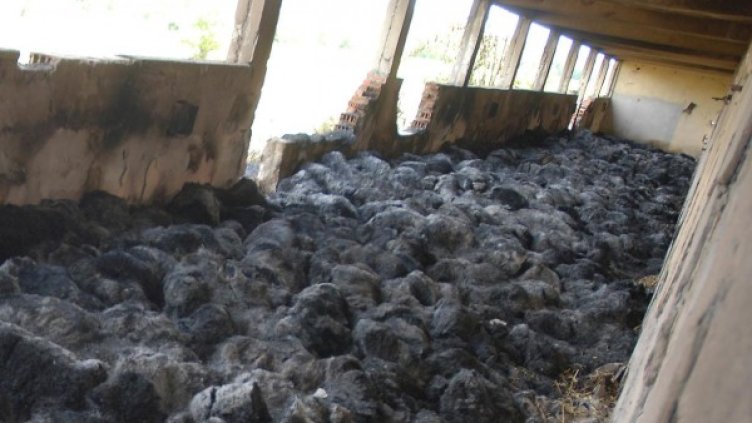 Снимка: Булфото, архив