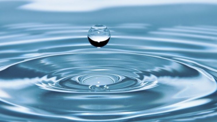 Снимка: Pixabay